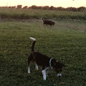 Meet your Posher, Caleb